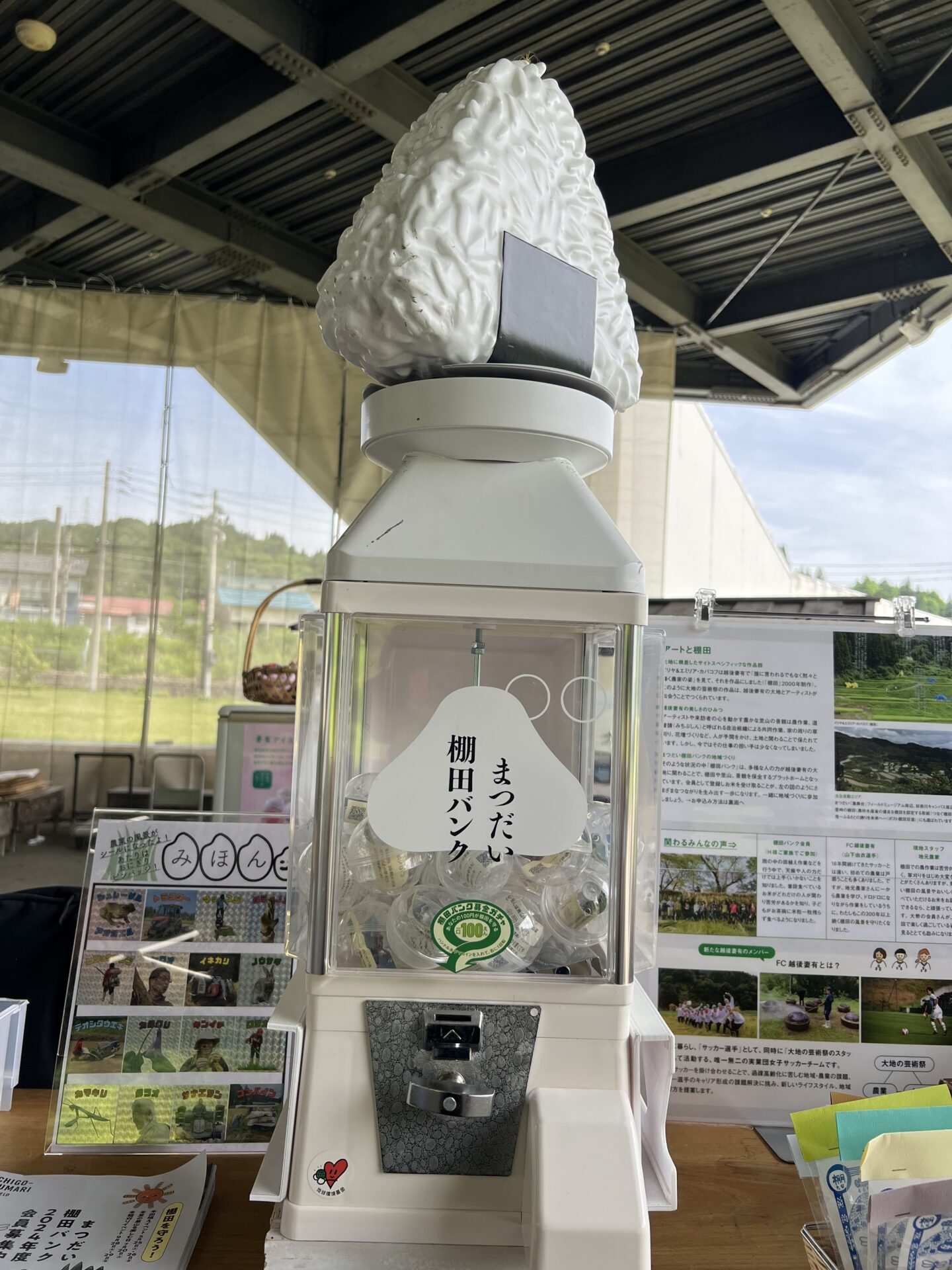 田植え🌾①