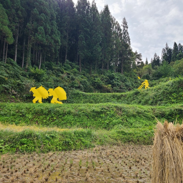 今年も稲刈りへ🌾